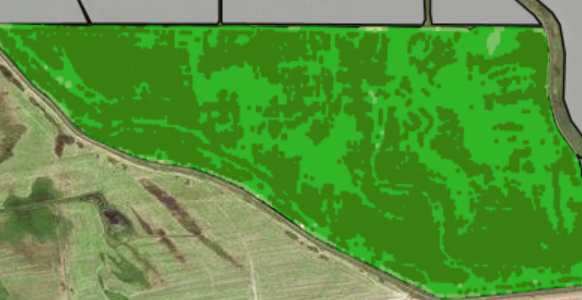NDVI
